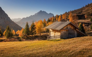 Bridge to the colors of autumn. Passo Falzarego clipart