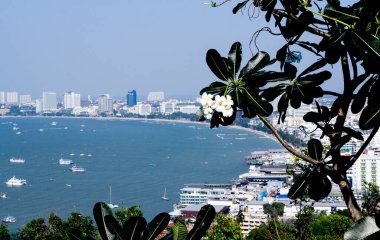 Ön planda Tayland frangipani çiçeği var, içinden gemileri ve tatil köyü olan bir körfeze bakıyor..