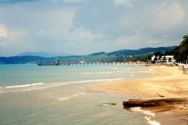 Fotoğraf bir deniz manzarası gösteriyor. Önünde martılar ve ufukta bir iskele var. Fotoğrafta kara bulutlar var ve yakında yağmur yağacak..