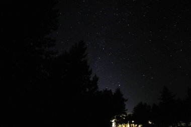 Yıldızlı kış gökyüzü. Ön planda karanlık ağaç siluetleri ve yakınlarda bir yol..