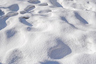 Kışın beyaz taze kar doku