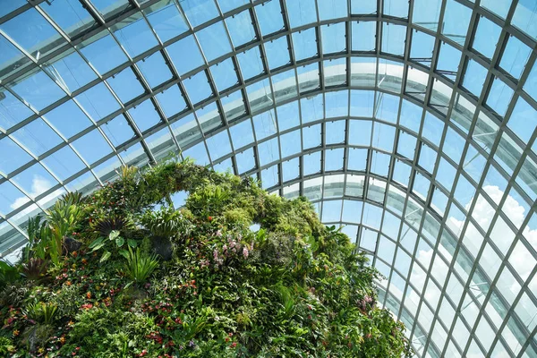 Cloud Forest dome at Garden by the bay — Stock Photo, Image