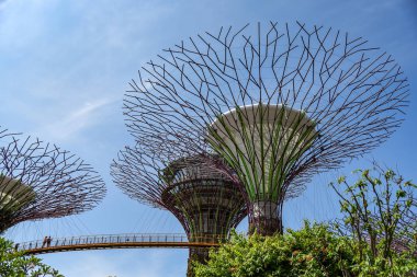 Supertree Bay, Singapur tarafından bahçede