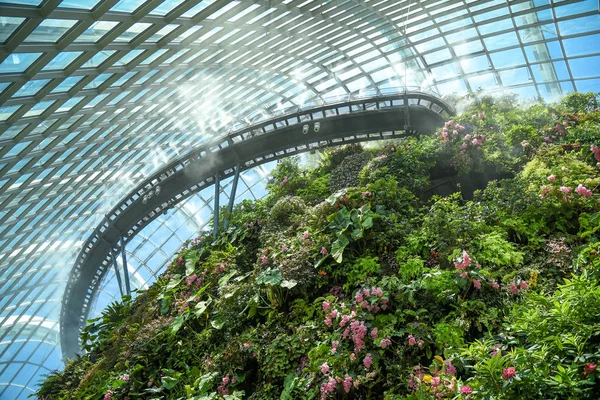 Cloud Forest dome at Garden by the bay — Stock Photo, Image