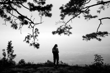 Çam ormanda tek başına duran yalnız kadın Gezgin