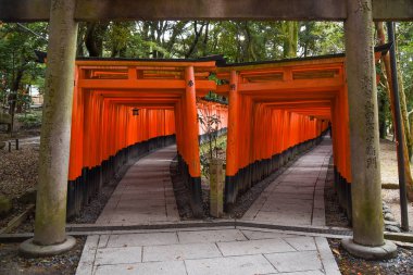 Kyoto, Japonya 'da fushimi inari türbesi