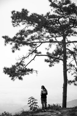 çam ağacı altında tek başına duran kadın Gezgin