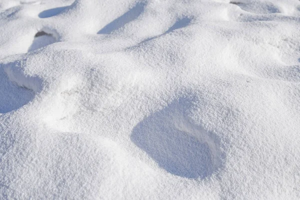 White fresh snow texture in winter — Stock Photo, Image