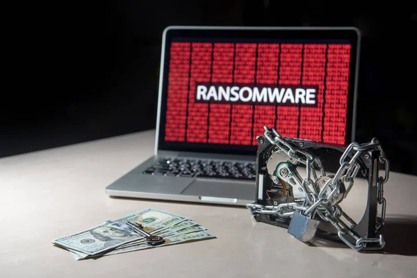 Hard disk terkunci dengan monitor tampilkan serangan cyber ransomware — Stok Foto