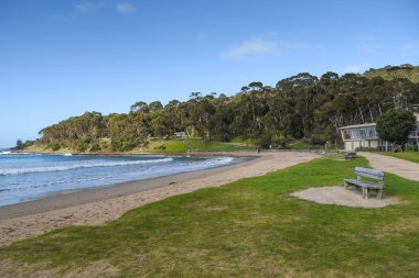 Plaj ve deniz yakınındaki ahşap Bank