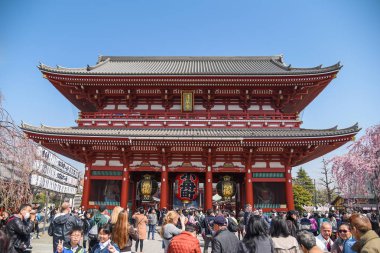Kiraz çiçeği sezonunda Senso-ji (Asakusa) Tapınağı