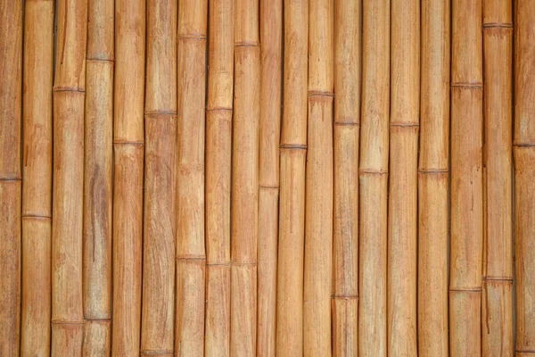 Bamboe stok patroon, bouwen van materiële achtergrond — Stockfoto