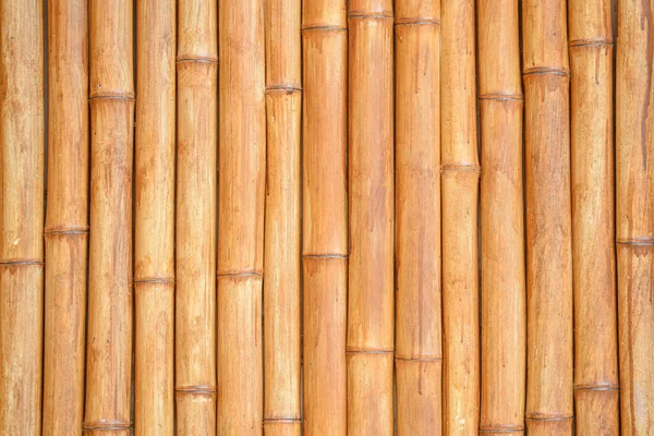 Patrón de palo de bambú, material de construcción de fondo — Foto de Stock