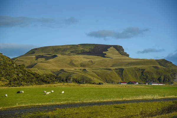 Beau paysage de montagne en été de l'Islande — Photo