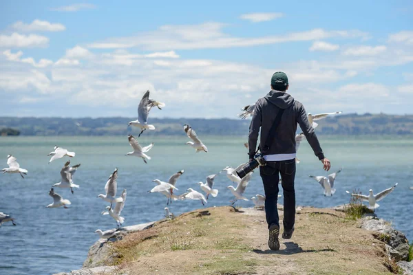 Młody mężczyzna fotograf goni grupy ptaków seagull w pobliżu jeziora — Zdjęcie stockowe