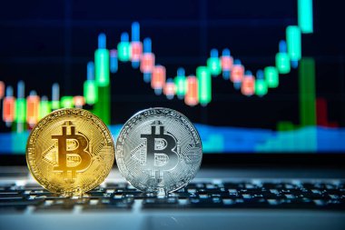 Stüdyo çekim bitcoin altın ve gümüş sikkeleri üzerinde laptop klavye ile temel şamdan yeşil kırmızı grafik fiyat içinde geçmiş. Dünya çapında cryptocurrency ve dijital ödeme kavramları