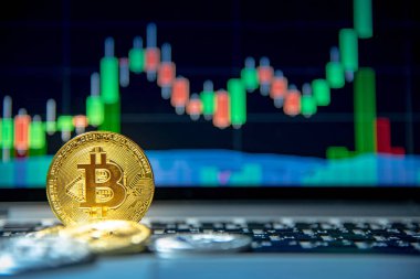 Stüdyo bitcoin altın sikke ile arka planda temel şamdan yeşil kırmızı grafik fiyat laptop klavye üzerinde bir kadeh. Kadar yakın ve bitcoin üzerinde odaklanmak. Dünya çapında cryptocurrency ve dijital ödeme kavramları