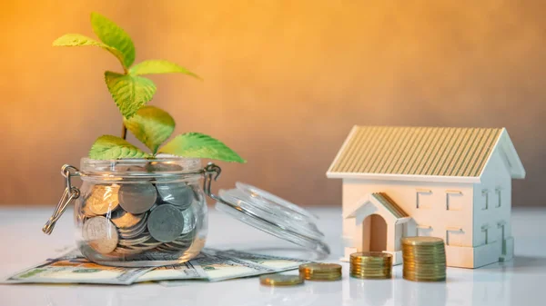 Real estate investment or property ladder. Home mortgage loan rate. Saving money for future concept. Plant growing out of coins in glass jar with dollar banknotes and house model on the table