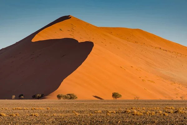Свет Тень Над Гербом Оранжевых Песчаных Дюн Пустыне Намиб Национальный — стоковое фото