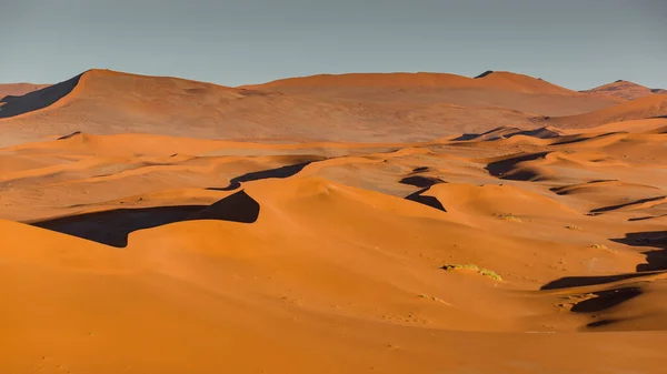 Свет Тень Над Гербом Оранжевых Песчаных Дюн Пустыне Намиб Национальный — стоковое фото