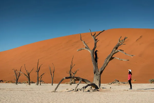 Asian Woman Traveler Standing Dead Tree Sand Dunes Desert Landscape — Stock Photo, Image