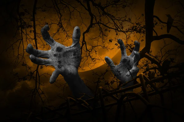 Zombie hand stiger ut från gamla staket över döda trädet — Stockfoto