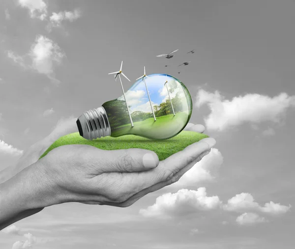 Light bulb with wind turbines, birds and forest inside in hands — Stock Photo, Image