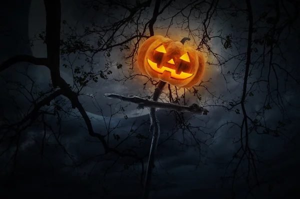 Jack O Lantern pumpkin on wood cross over dead tree Stockbild