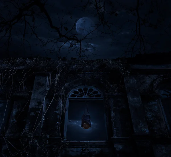 Murciélago dormir y colgar en la antigua ventana castillo con árbol muerto — Foto de Stock
