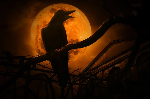 Cuervo sentado en el tronco del árbol muerto y croar sobre la cerca y la luna — Foto de Stock