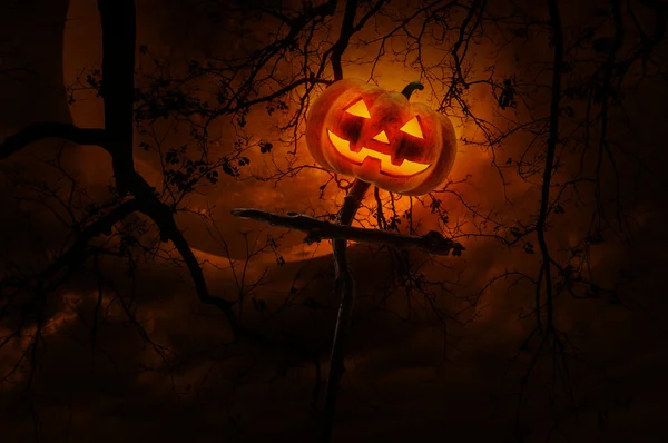 Jack O Lantern pumpkin on wood cross over dead tree and moon Stockfoto