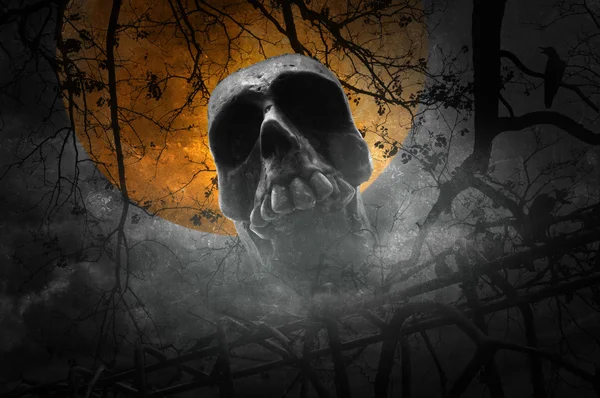 Cráneo humano con cerca vieja sobre árbol muerto, cuervo, luna y nublado —  Fotos de Stock