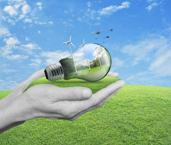 Light bulb with wind turbines, birds and forest inside in hands — Stock Photo, Image