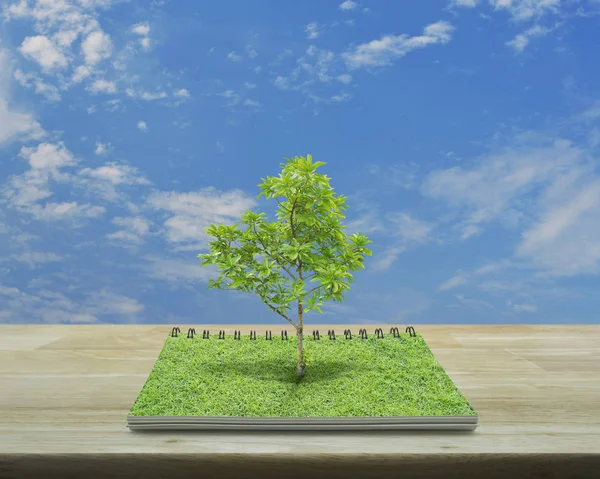 Baum wächst aus einem offenen Buch, ökologisches Konzept — Stockfoto