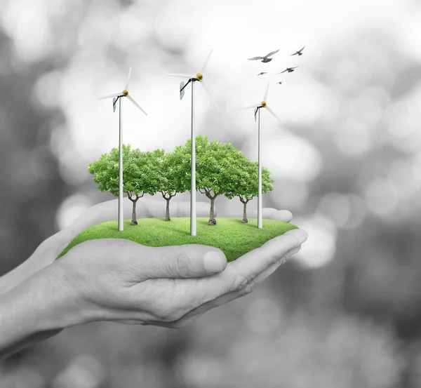 Windräder, Gras und Bäume in Menschenhand über grün verschwimmenden Baum mit Vögeln, ökologisches Konzept — Stockfoto