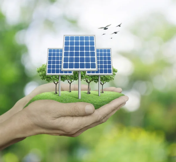 Solarzelle im Menschen übergibt verschwommenen grünen Baum mit Vögeln, ecologi — Stockfoto