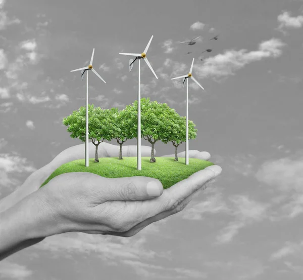 Wind turbines, grass and trees in human hands — Stock Photo, Image