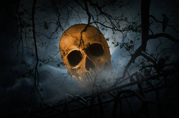 Cráneo humano con cerca vieja sobre humo, árbol muerto y luna — Foto de Stock