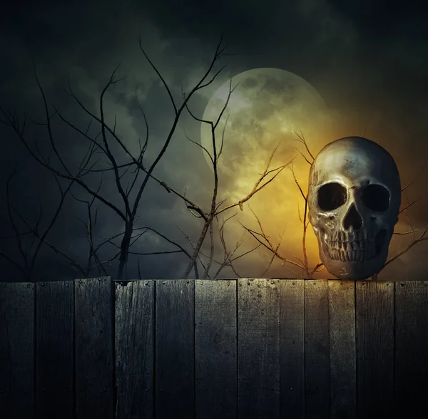 Crâne humain sur un vieux mur de bois sur un arbre mort, une lune et un ciel nuageux — Photo