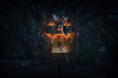Jack O Lantern kabak ile korkunç orman üzerinde gece zaman çapraz.