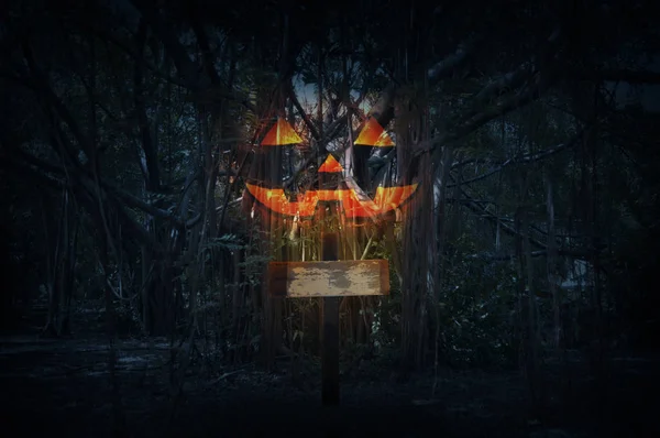 Jack O Lantern kabak ile korkunç orman üzerinde gece zaman çapraz.