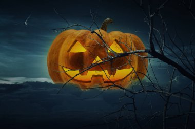 Jack O Lantern kabak ölü ağaçlar ve bulutlu gökyüzü üzerinde kuşlar