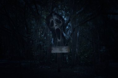 Hayalet çığlık ile korkunç orman üzerinde gece zaman çapraz.