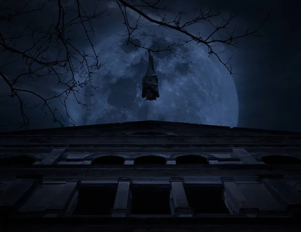 A halott fa alatt régi grunge-kastély, a Hold és a felhős ég denevér hang — Stock Fotó