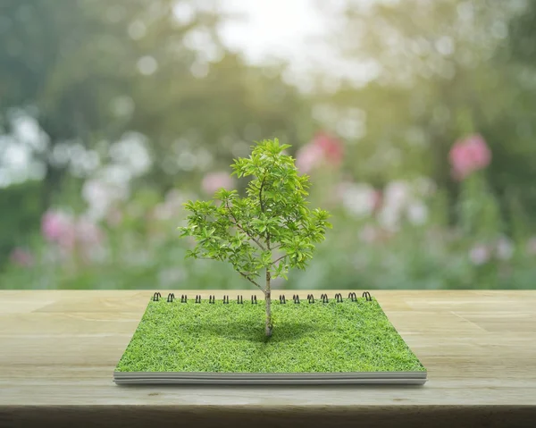 Baum wächst aus einem offenen Buch, ökologisches Konzept — Stockfoto