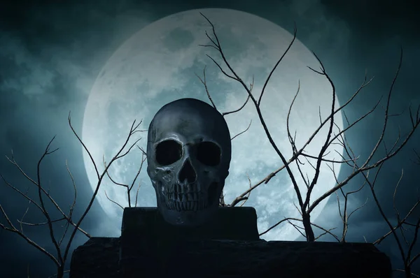 Human skull on the rock over dead tree and moon — Stock Photo, Image