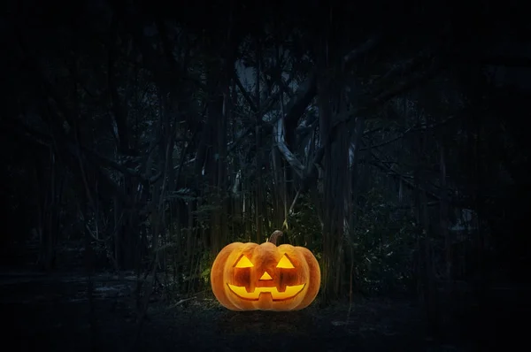 Jack O Lanterna zucca sull'erba sopra la foresta spettrale di notte — Foto Stock