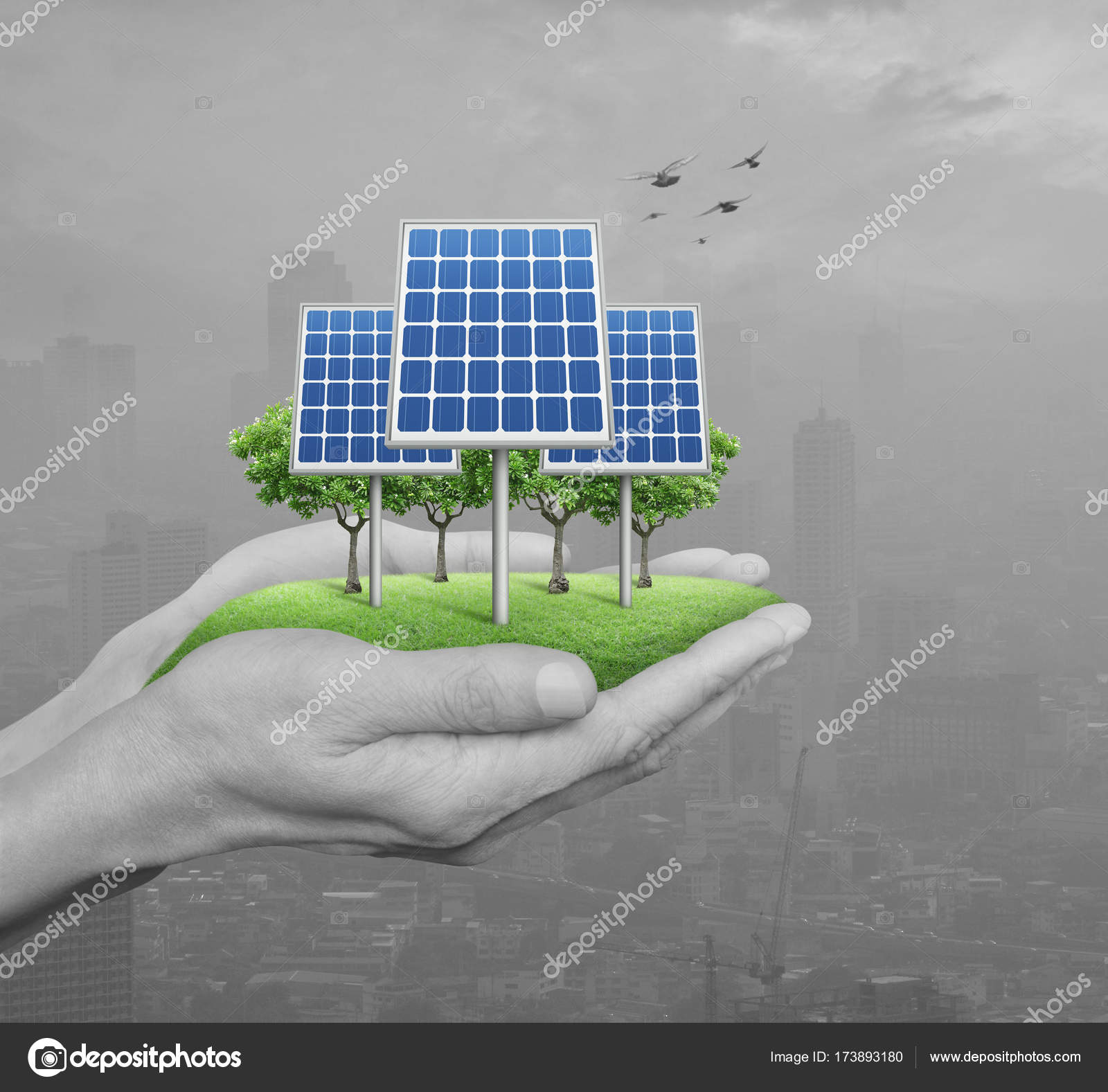 Esolar Cellulaire Chez Lhomme Noir Et Blanc Cède Wit Ville