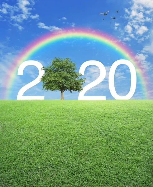 Mutlu yıllar 2020 ekolojik kavram — Stok fotoğraf
