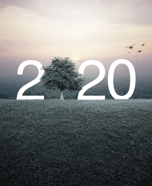 Happy new year 2020 ecological concept — Stock Photo, Image